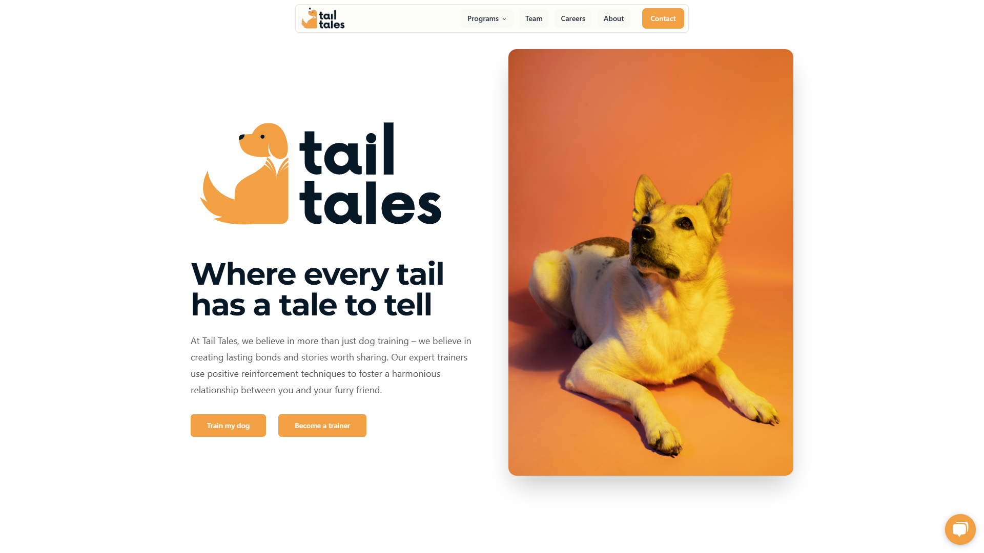 Tail Tales Academy